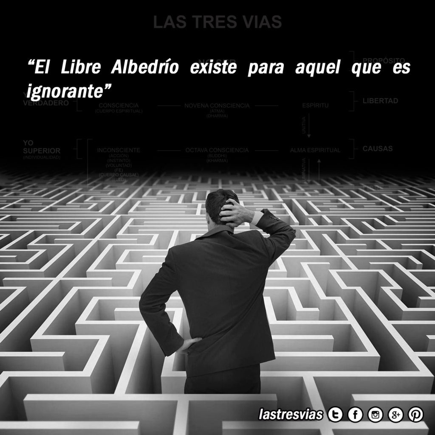 El libre albedrío, la libertad última, y la obsesión con la puta culpa. episode artwork