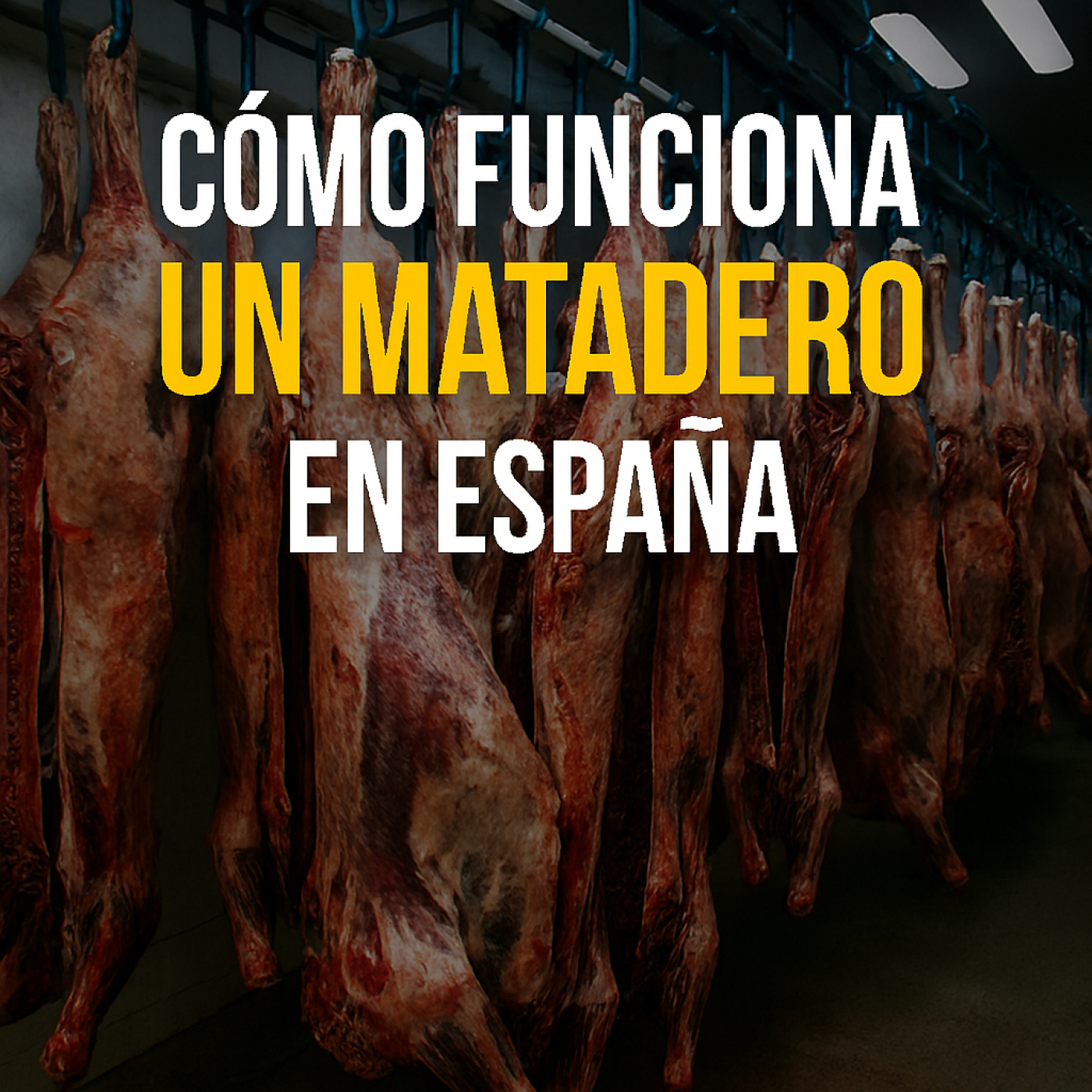Cómo funciona un matadero en España: normativa, procesos, bienestar animal y dimensión social episode artwork