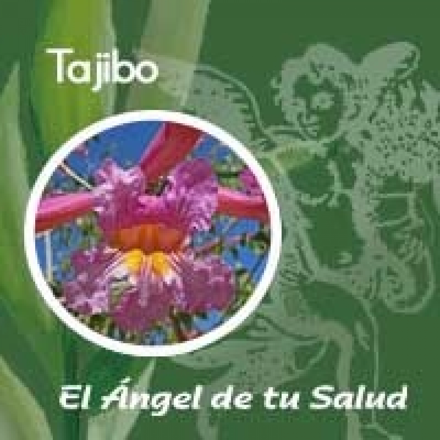 El Ángel de tu Salud - Tajibo** episode artwork