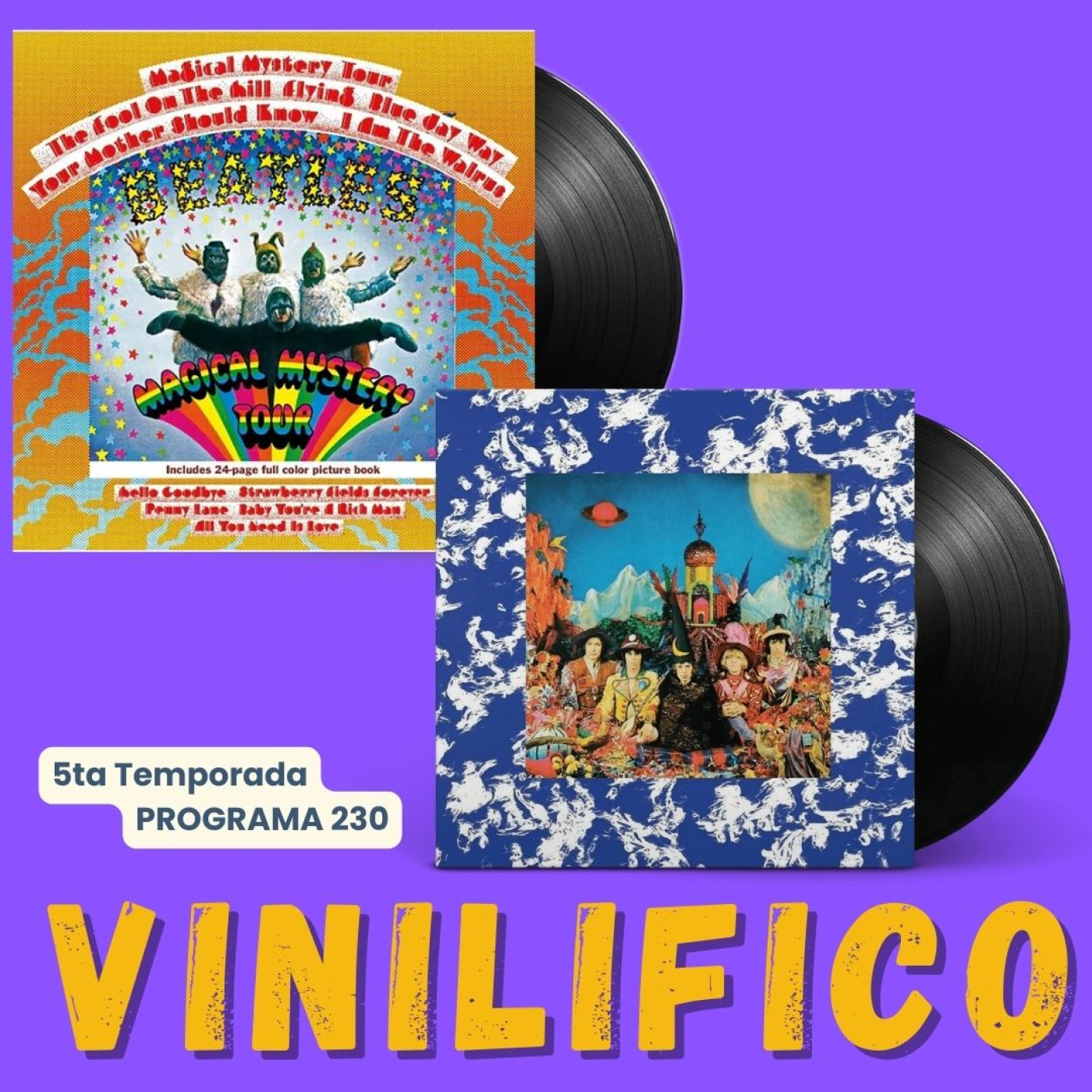 Vinilifico