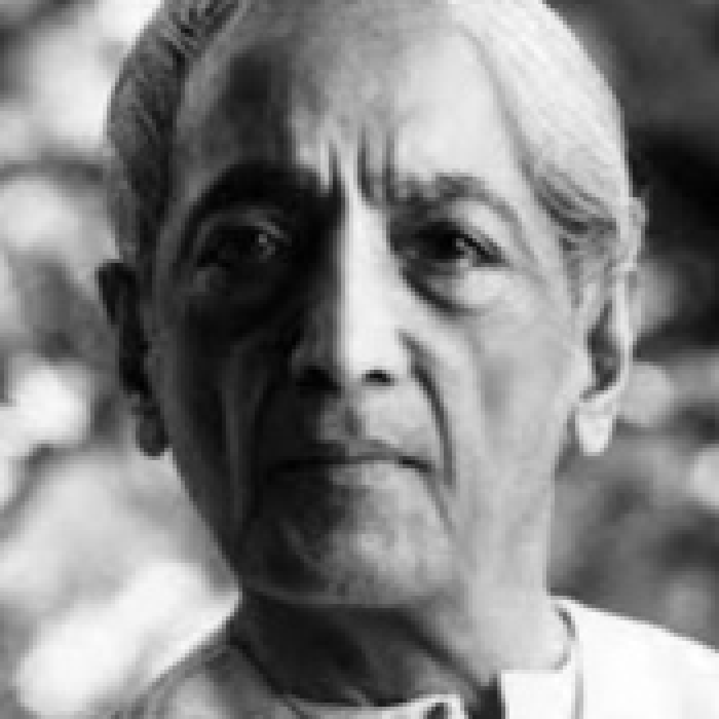 Luces en la oscuridad