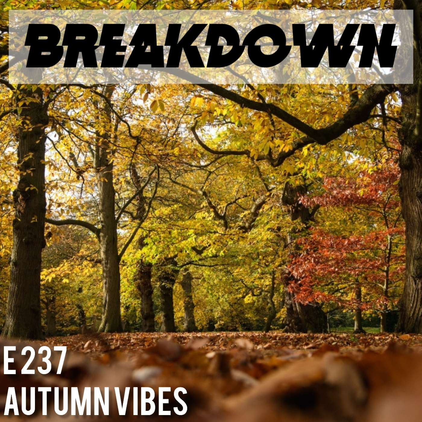Breakdown