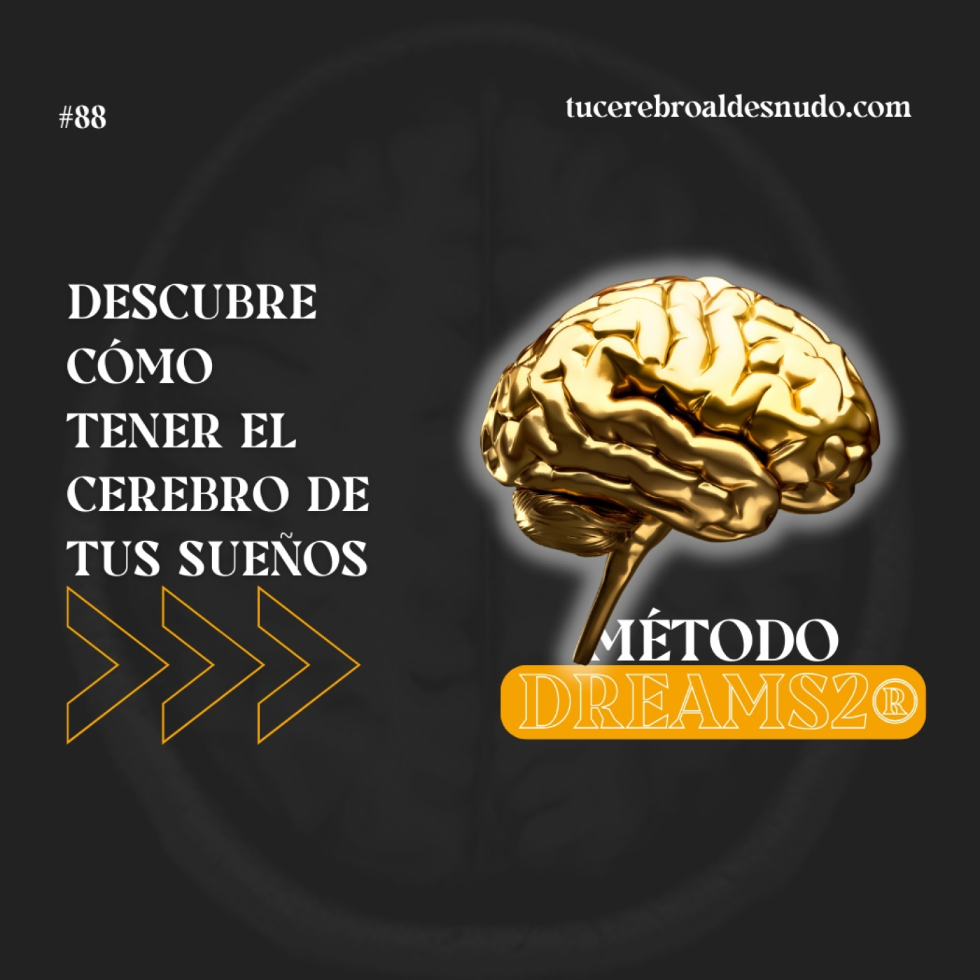 Cerebro Injodible®