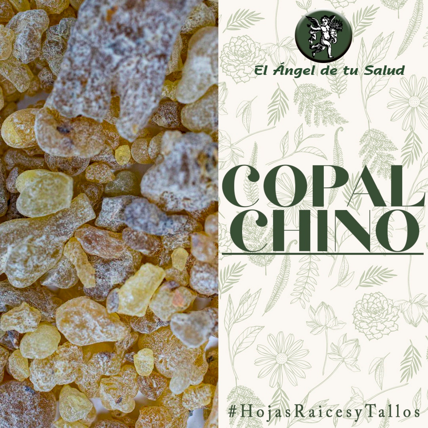 El Ángel de tu Salud - Copal Chino** episode artwork