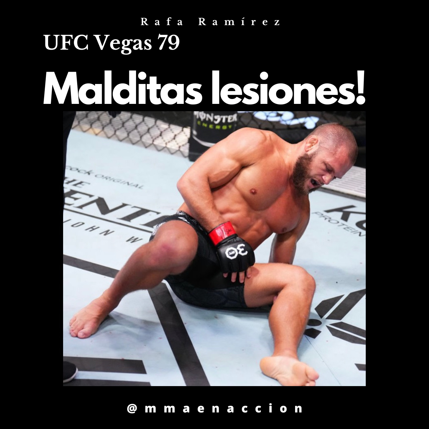 MMA en acción
