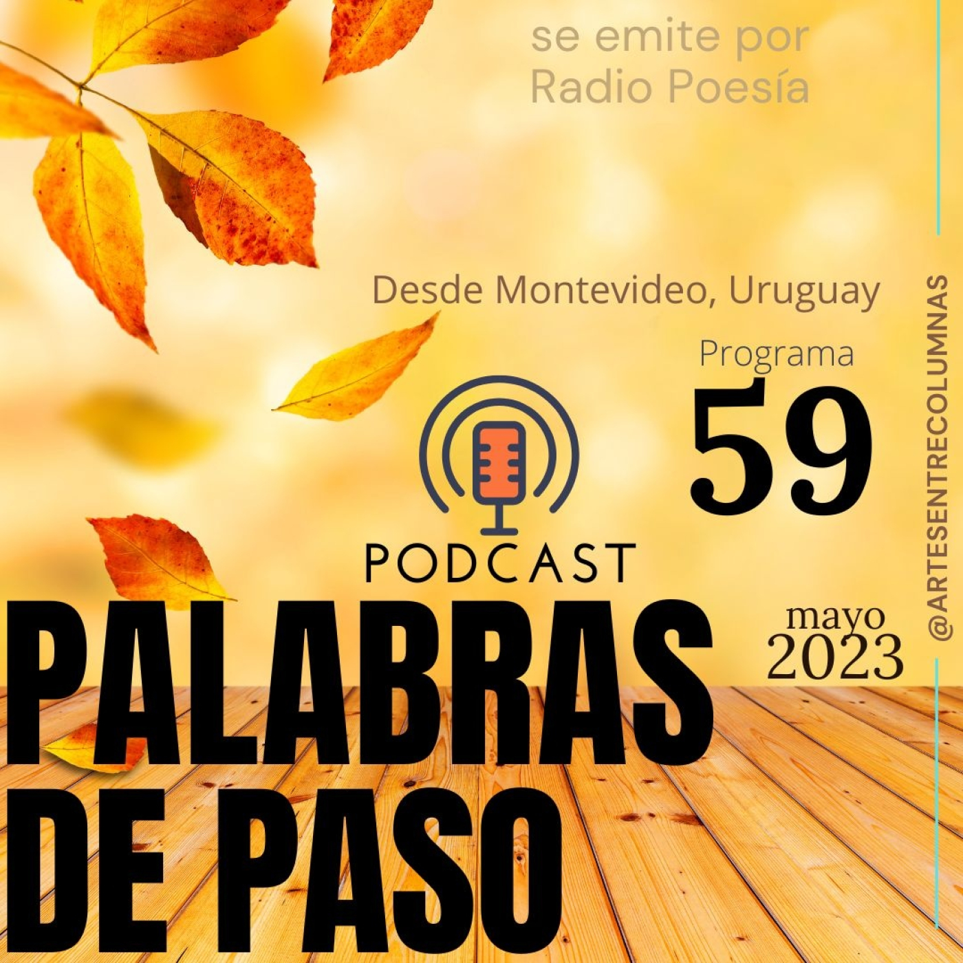 Palabras de Paso