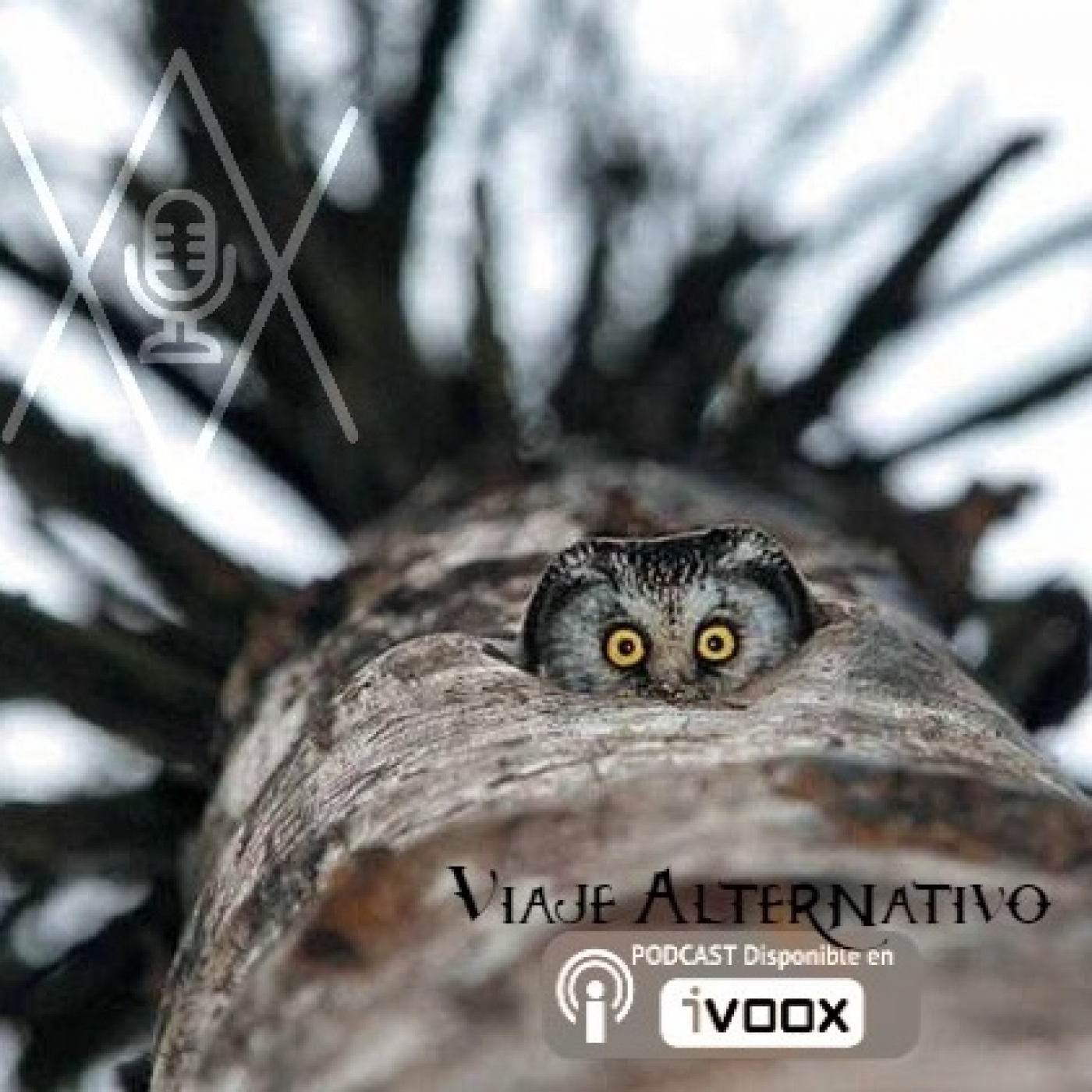 Podcast VIAJE ALTERNATIVO