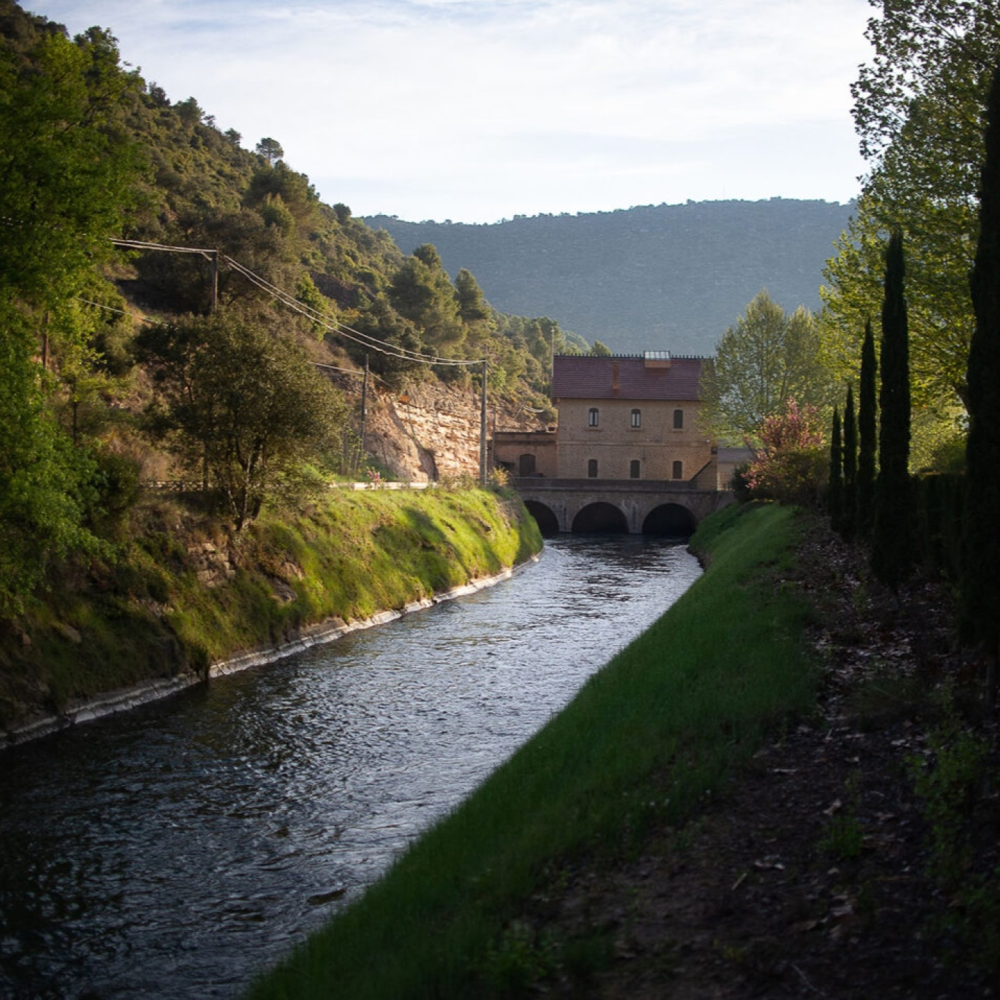 Caràtula