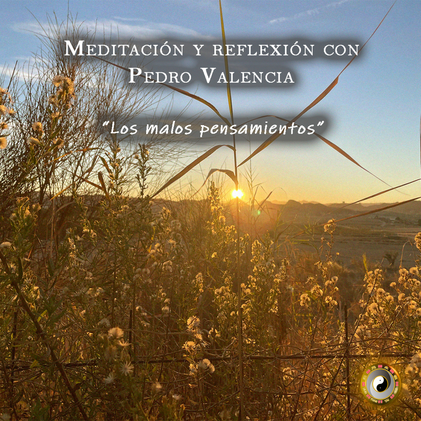 Meditación y Reflexión con Pedro Valencia