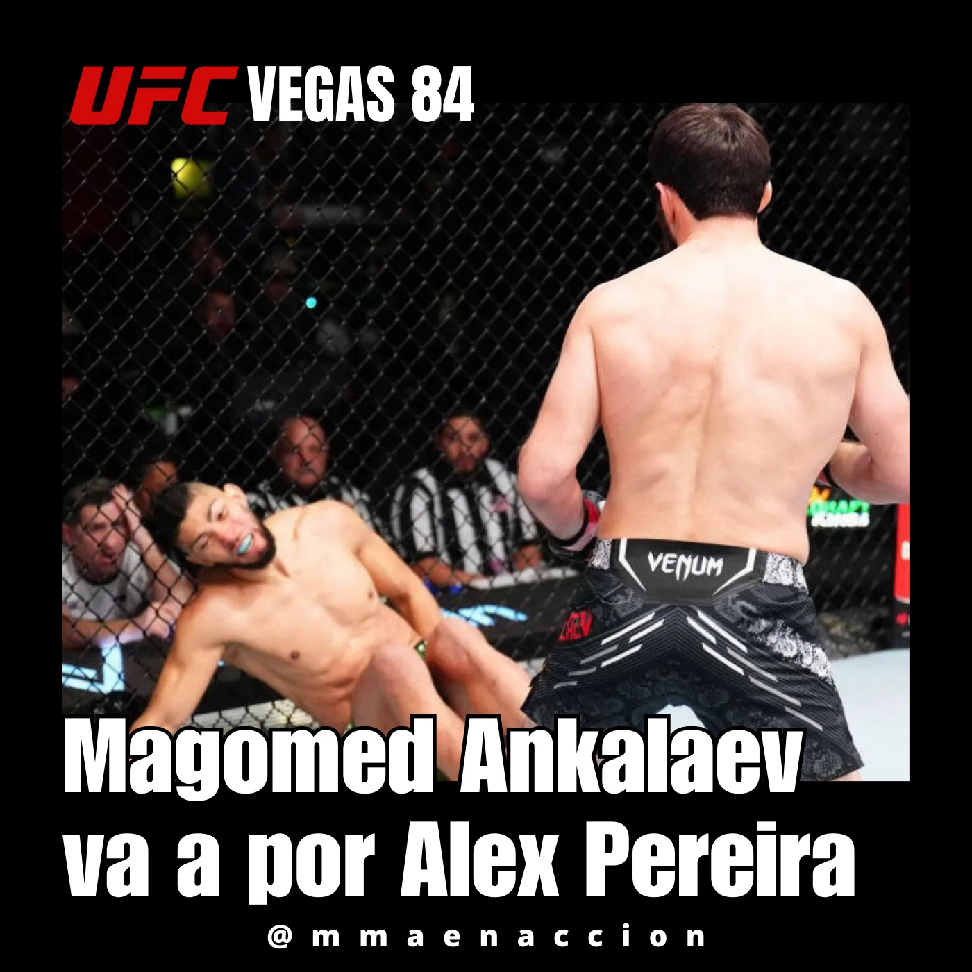 MMA en acción