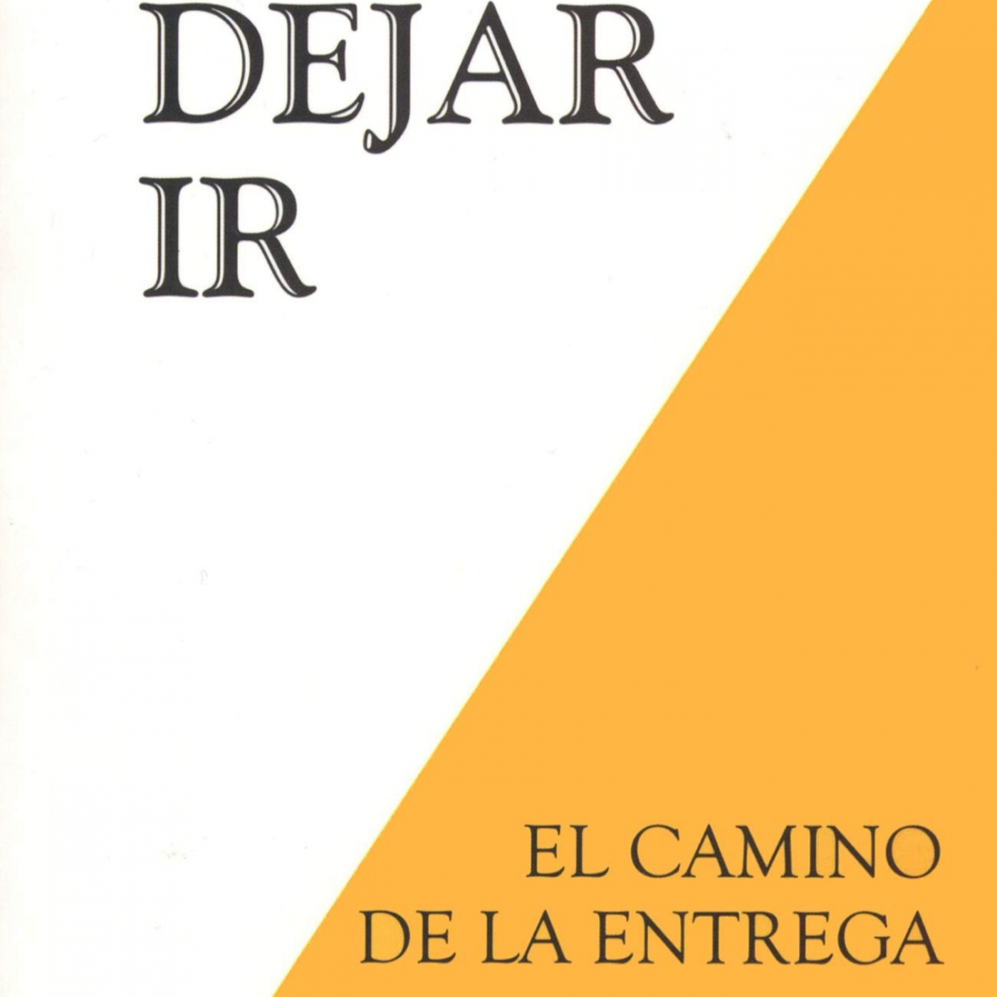 Disfrutando Leyendo