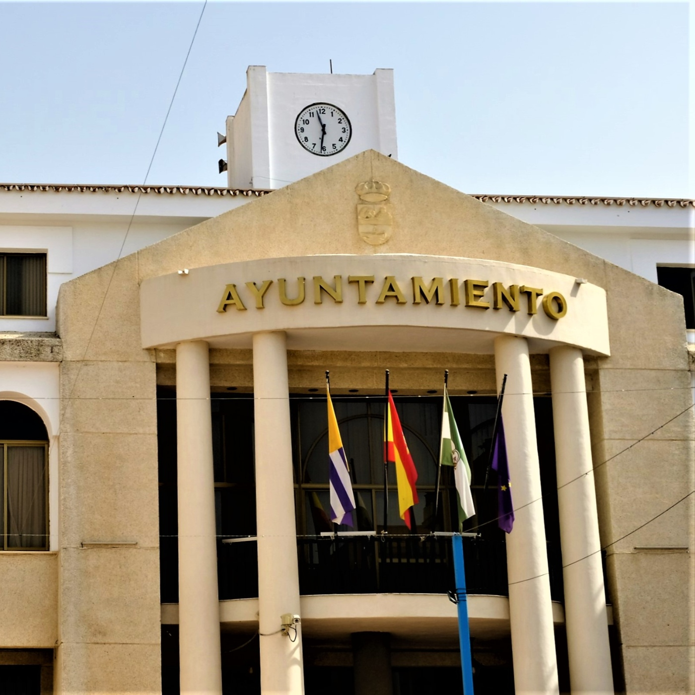 Pleno municipal por el día de la Constitución española de 1978 episode artwork