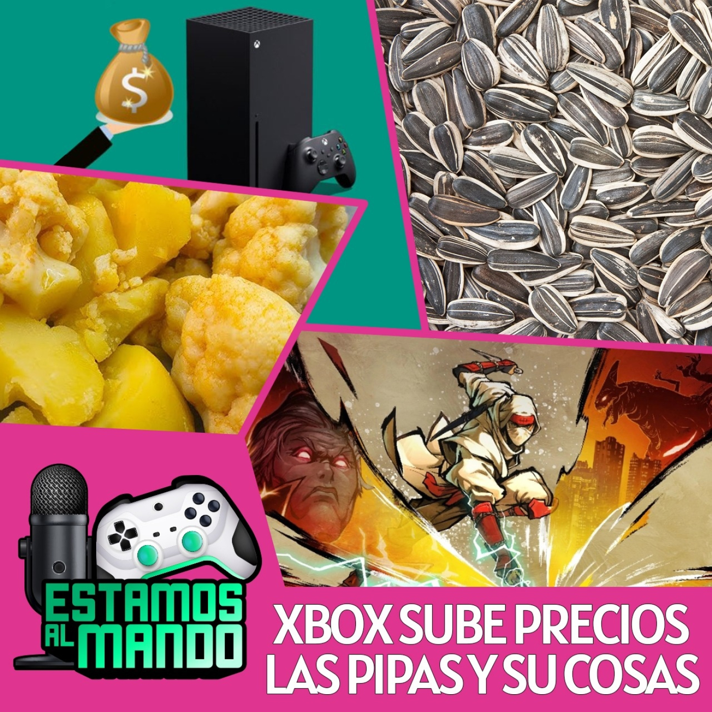 EAM 8-09 -Patatas y coliflor- Lo mejor y lo peor del videojuego, precios incrementándose, juegazo indie