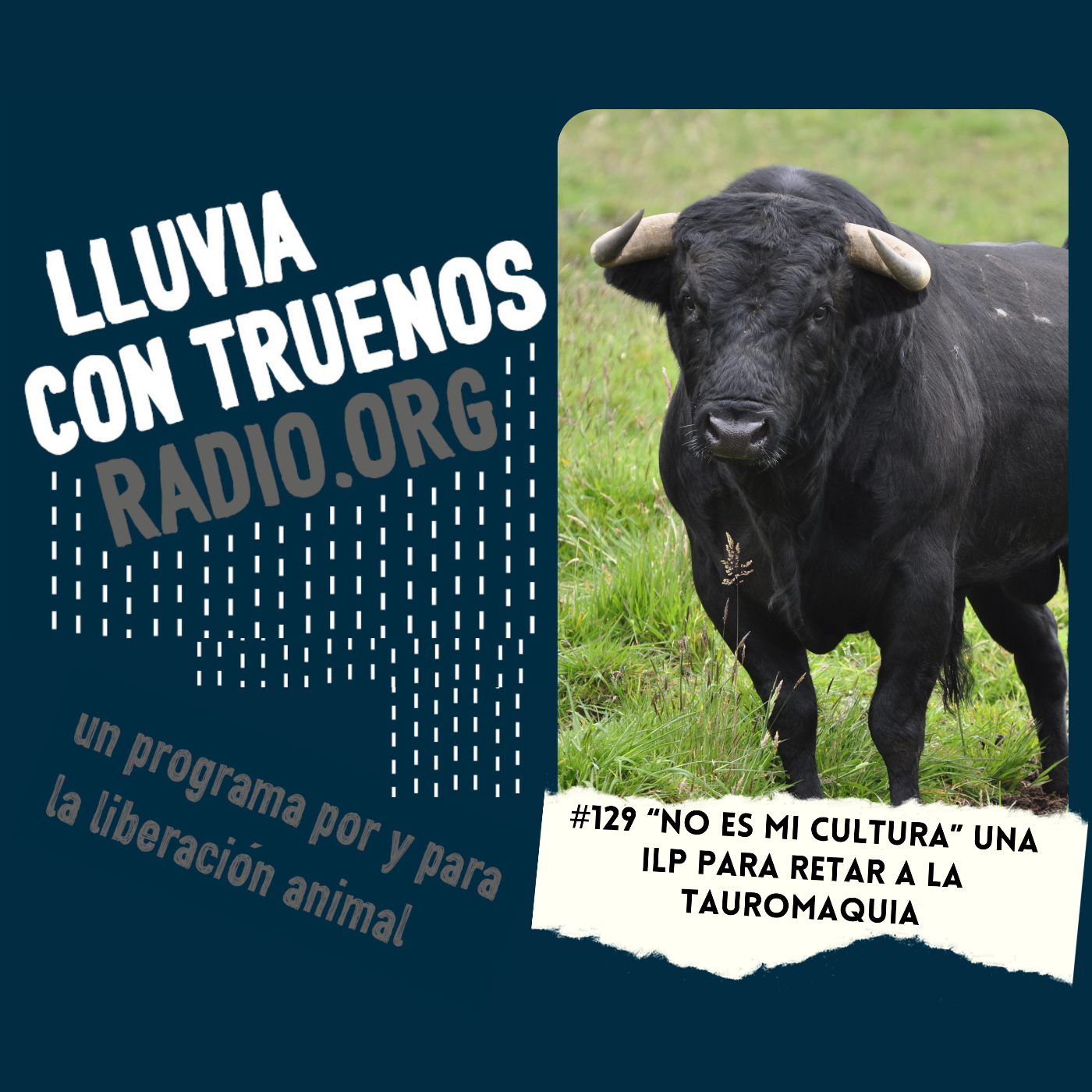 Lluvia con truenos radio
