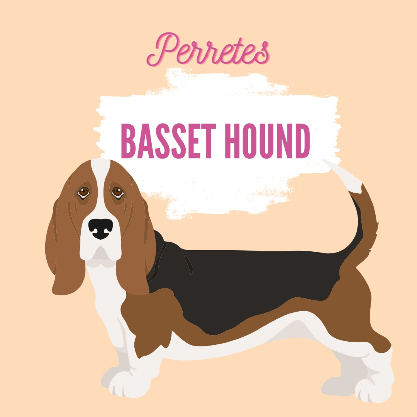 Perretes | Las razas de perros