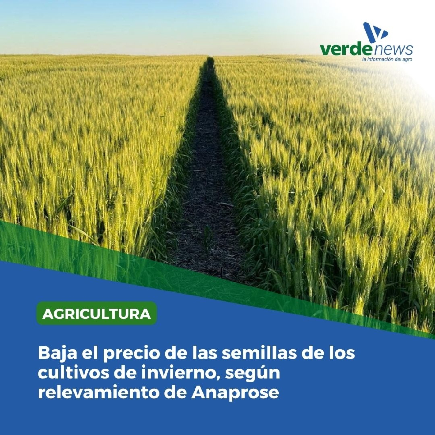 Rodolfo Fonseca - Anaprose - 23/05/25 episode artwork