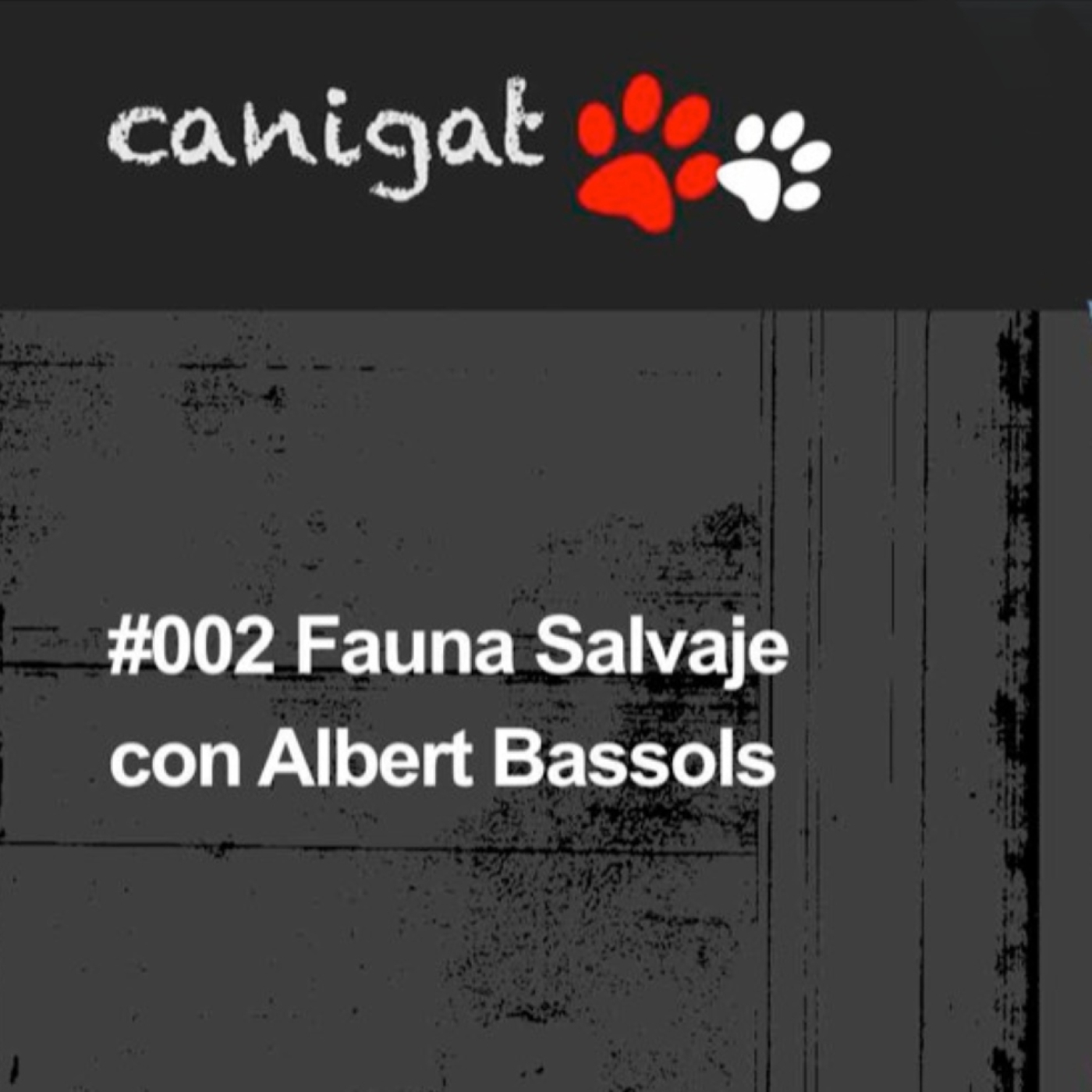 Consejos veterinarios de perros y gatos by canigat
