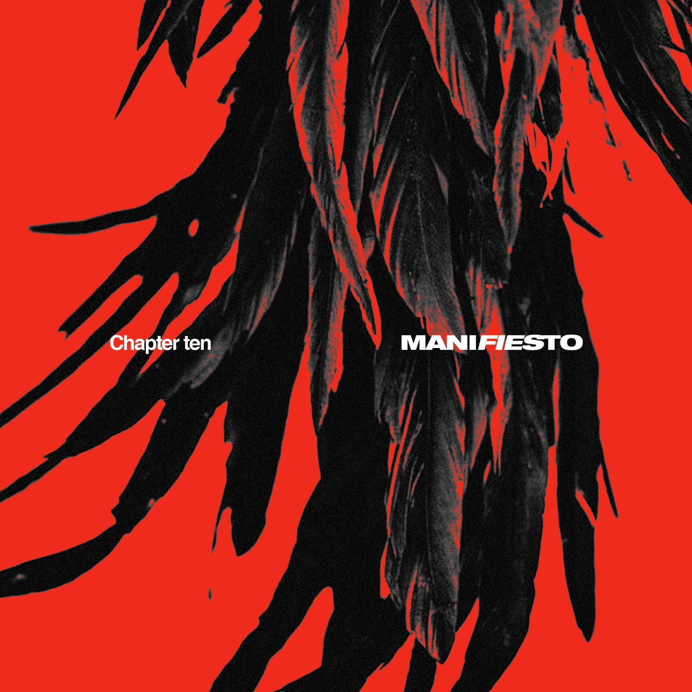 MANIFIESTO