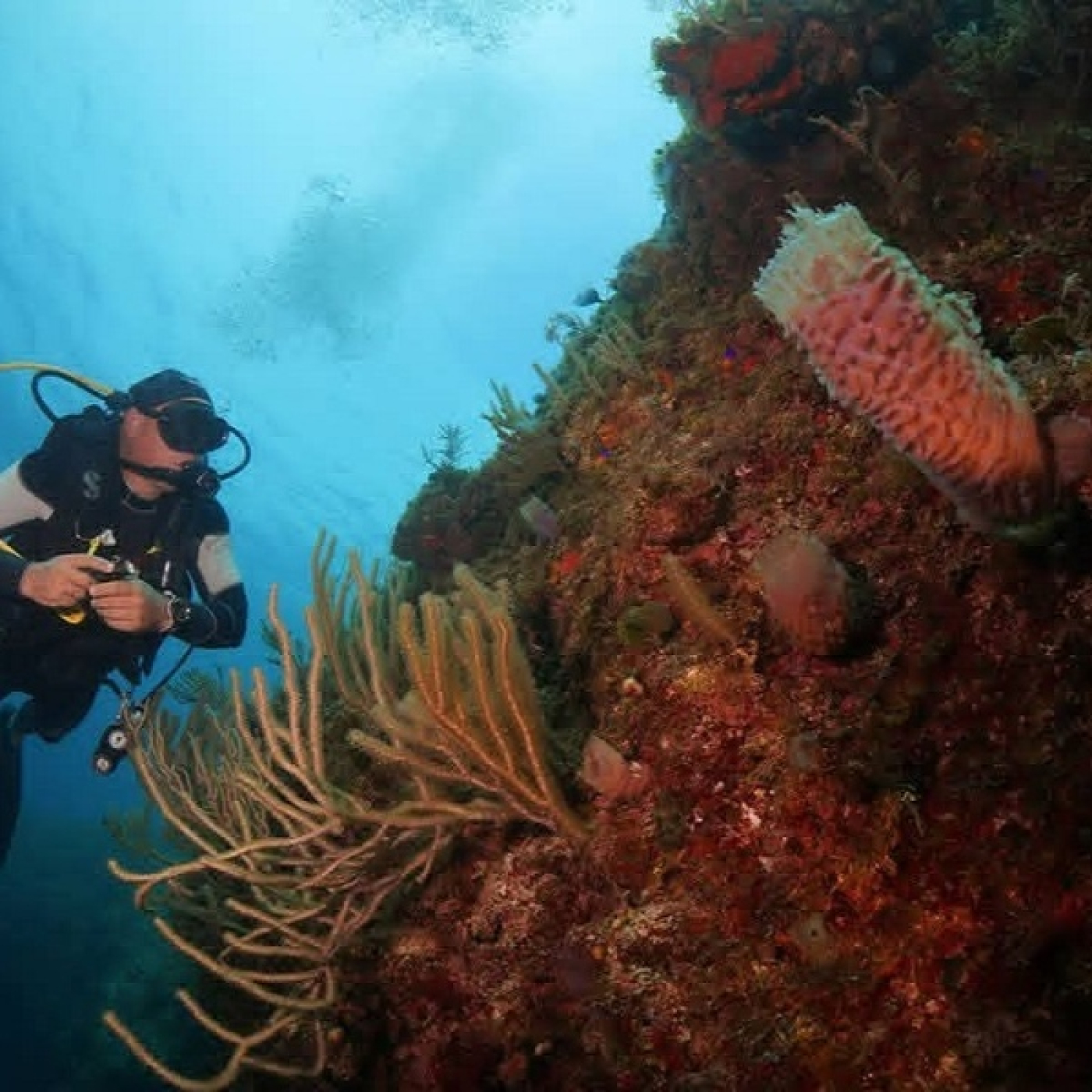 Gestión climática y resiliencia en la costa norte villaclareña