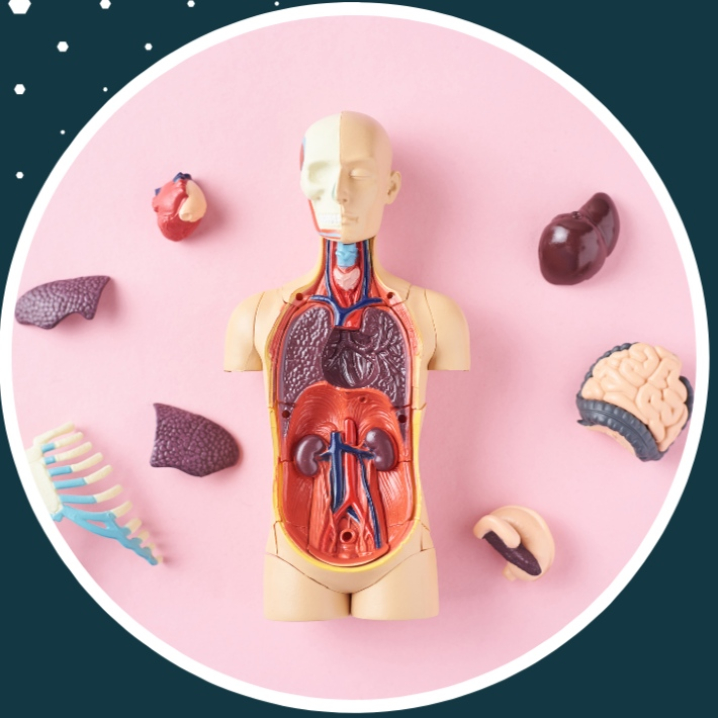 Radio Cole La Inmaculada