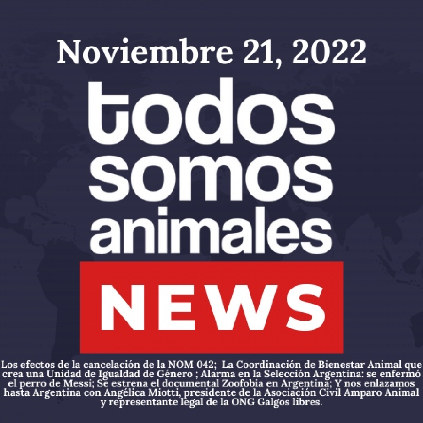Todos Somos Animales News