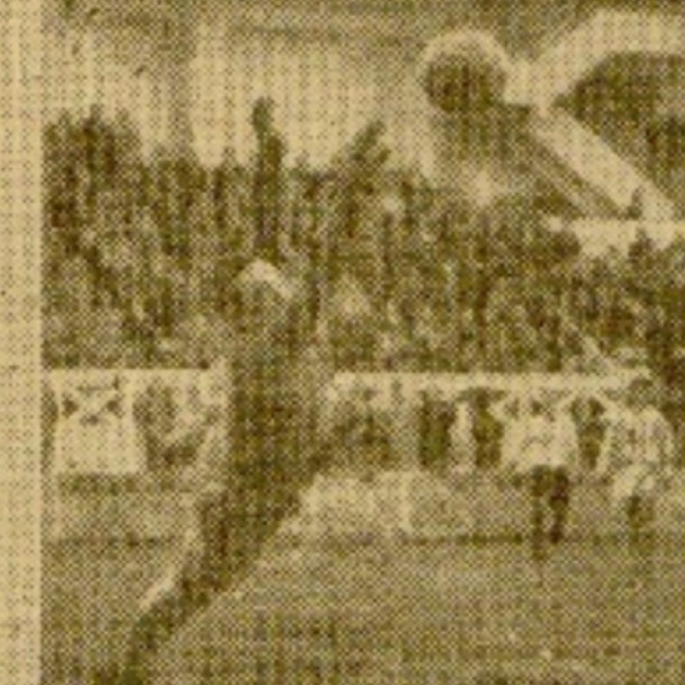 Corazón Txuri Urdin