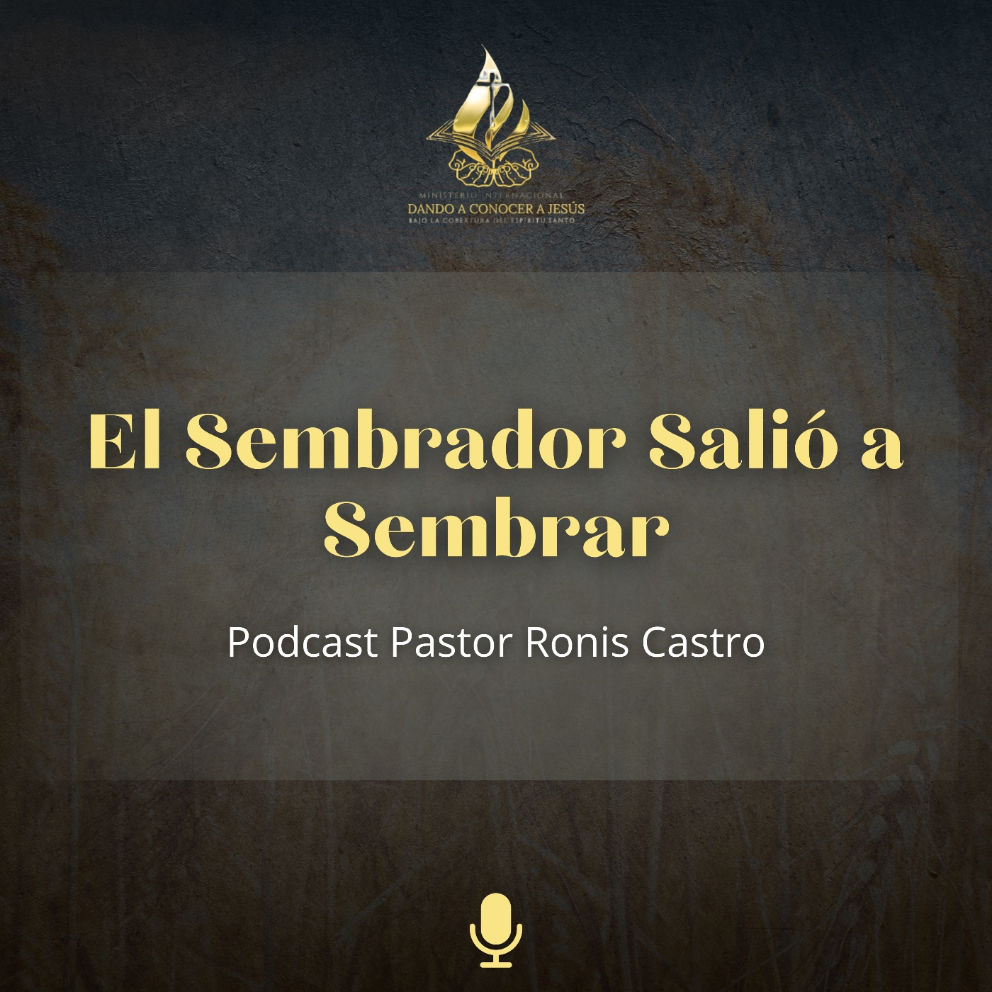 Transformando tus sábados