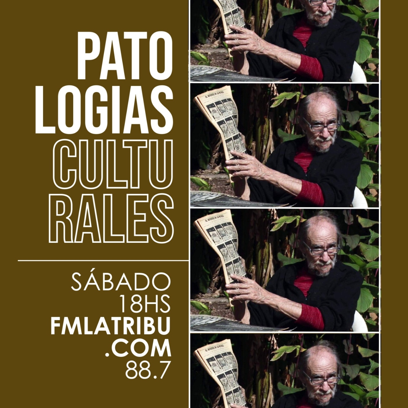 Patologías Culturales