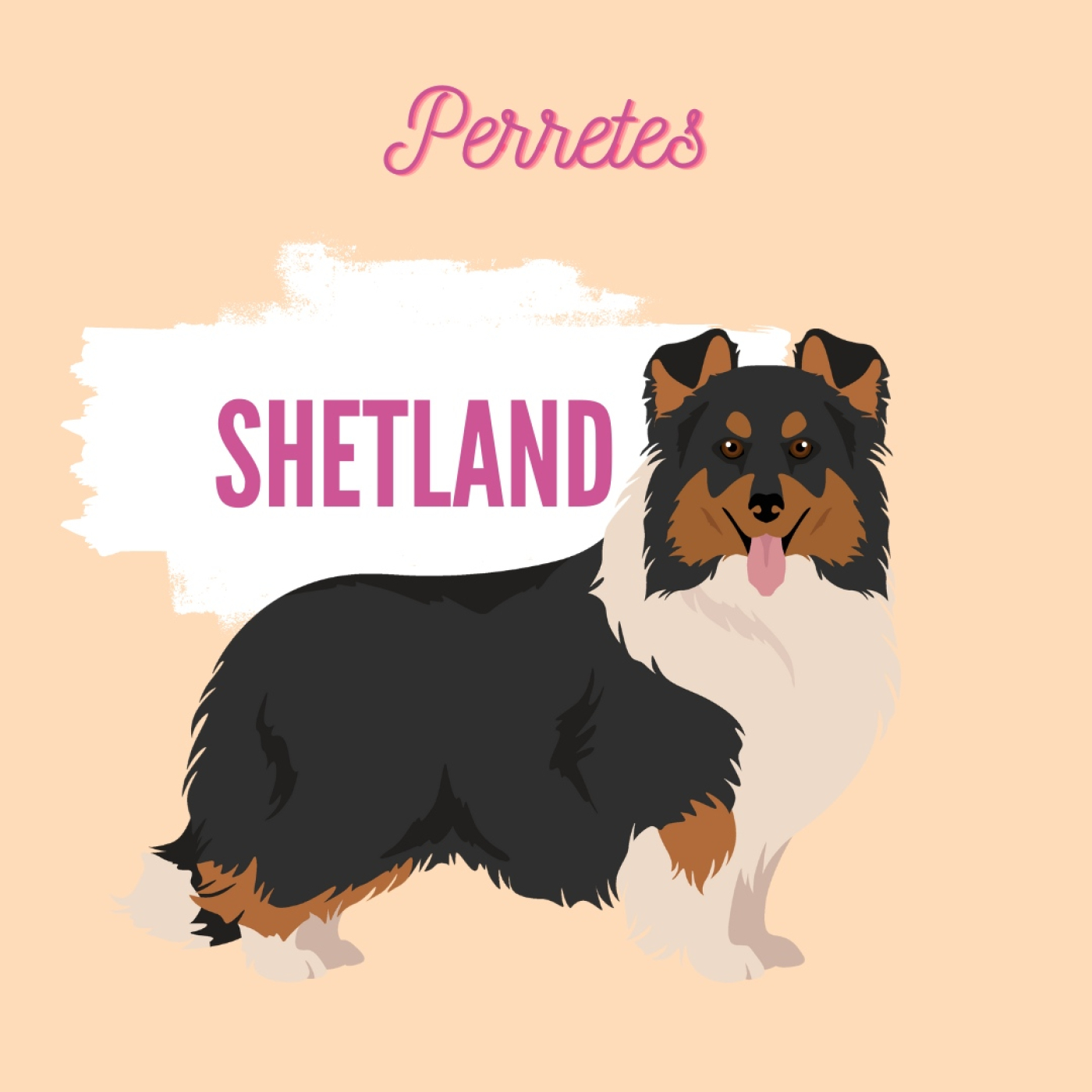Perretes | Las razas de perros