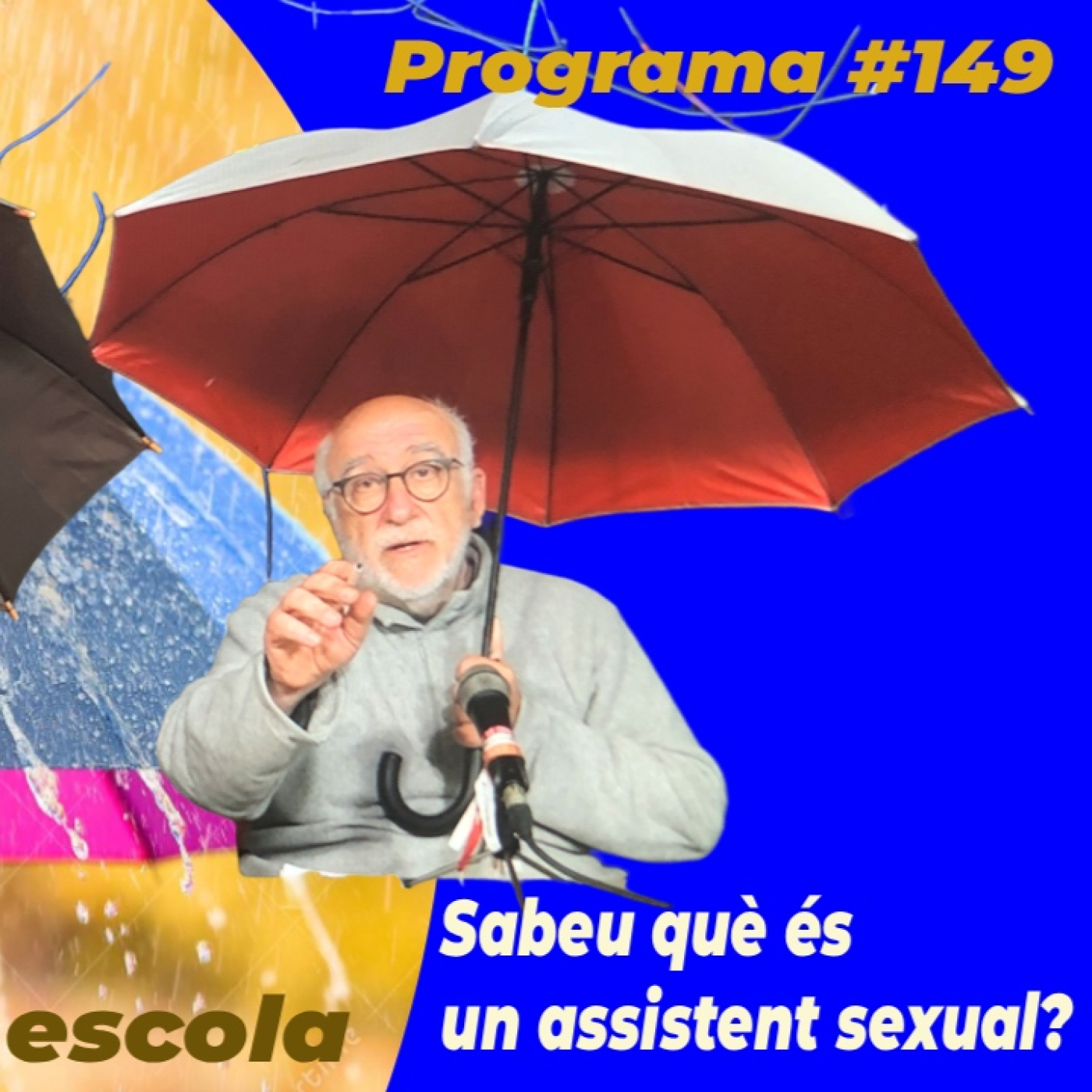 Sabeu què és un assistent sexual? – Sempre plou quan no fan escola 149 episode artwork