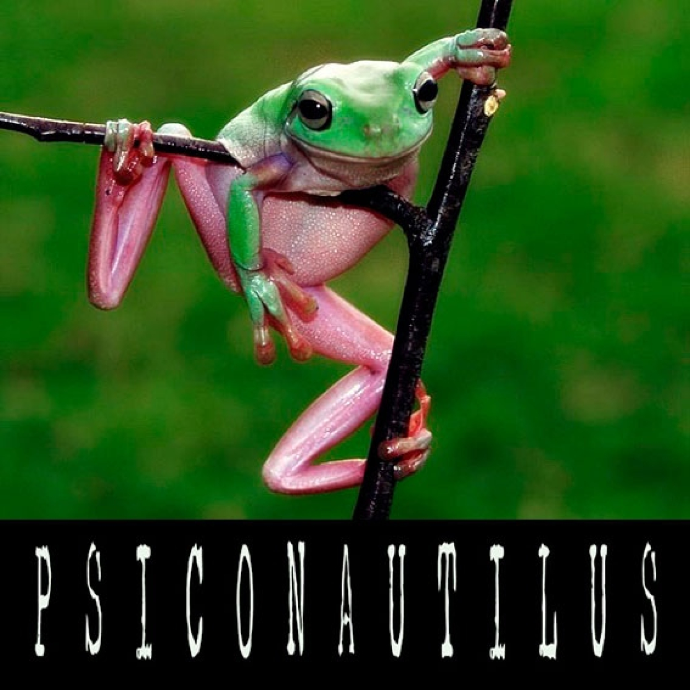 Psiconautilus