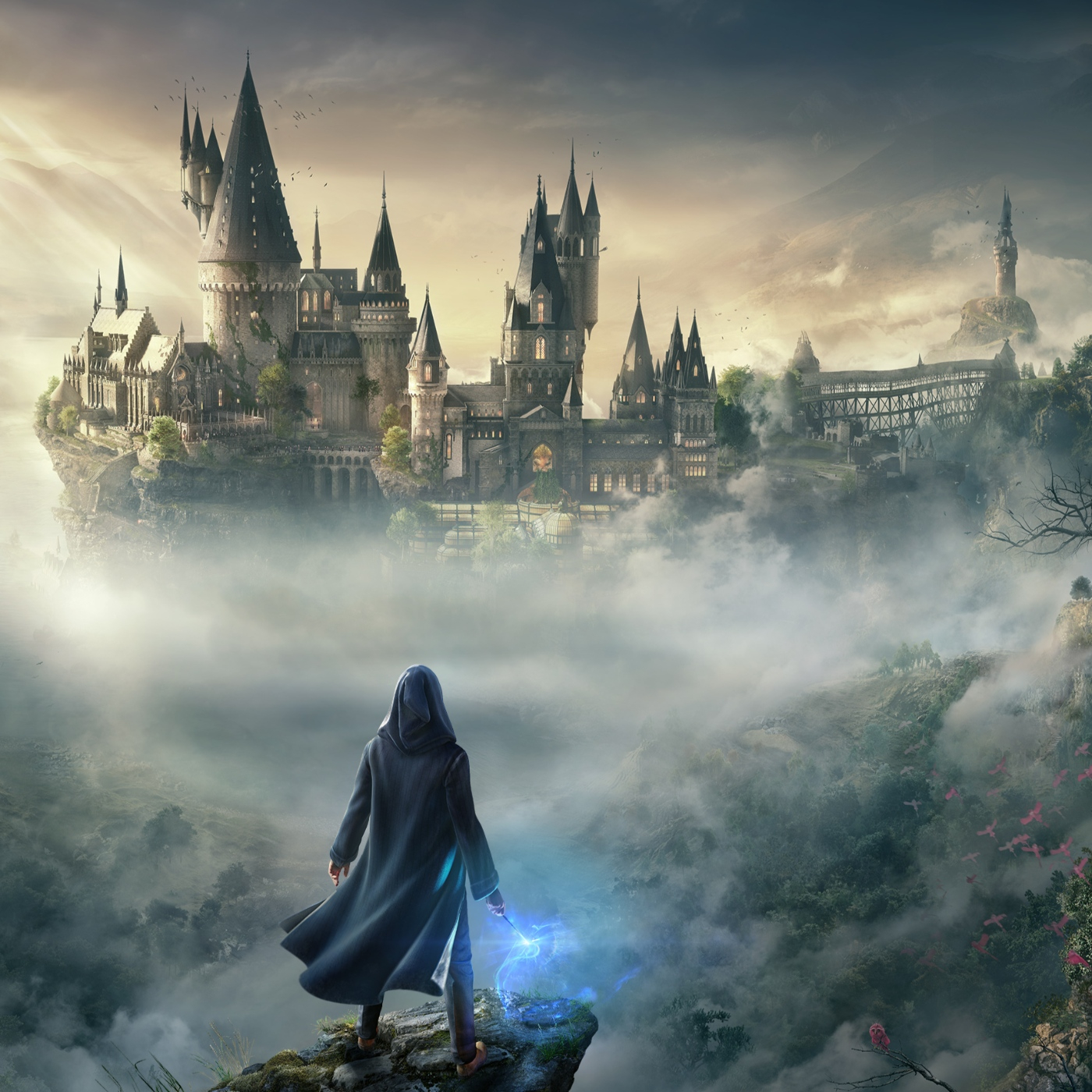 Hogwarts legacy nintendo switch предзаказ фото 14