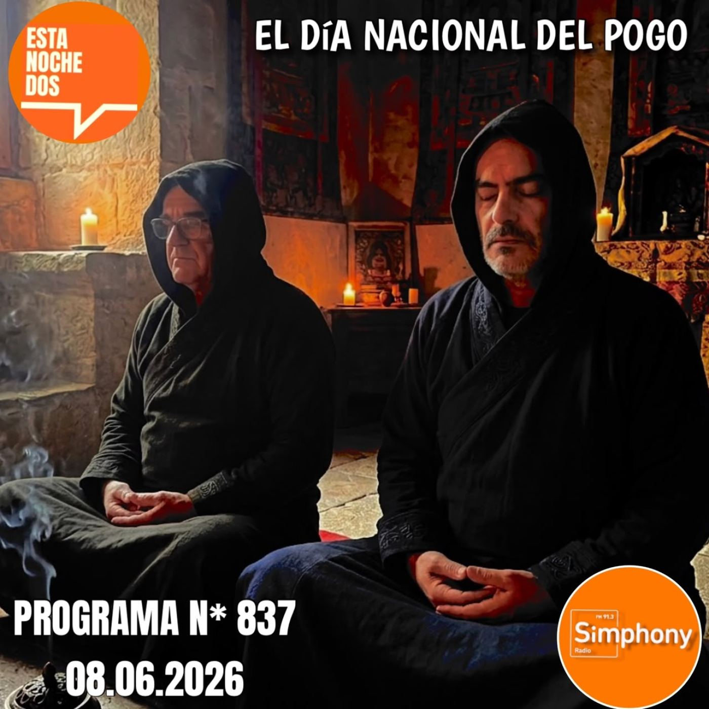 El Día Nacional del Pogo episode artwork