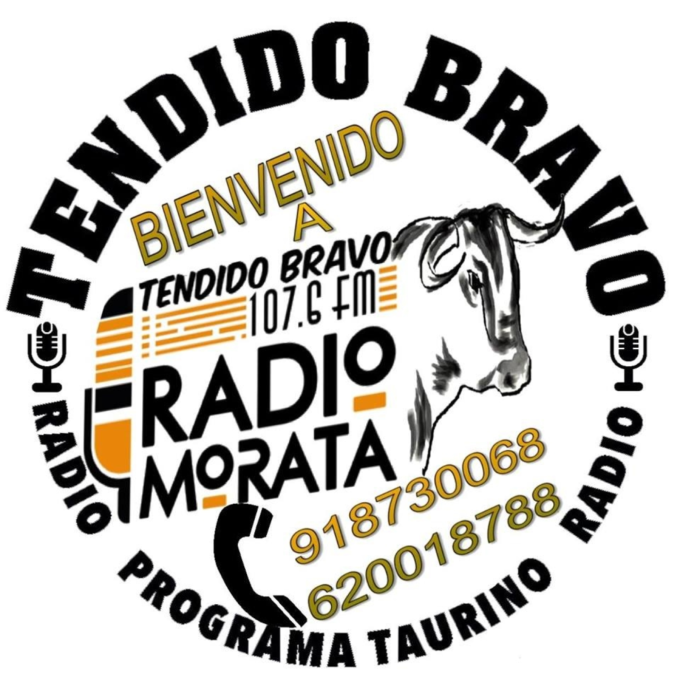 TENDIDO BRAVO