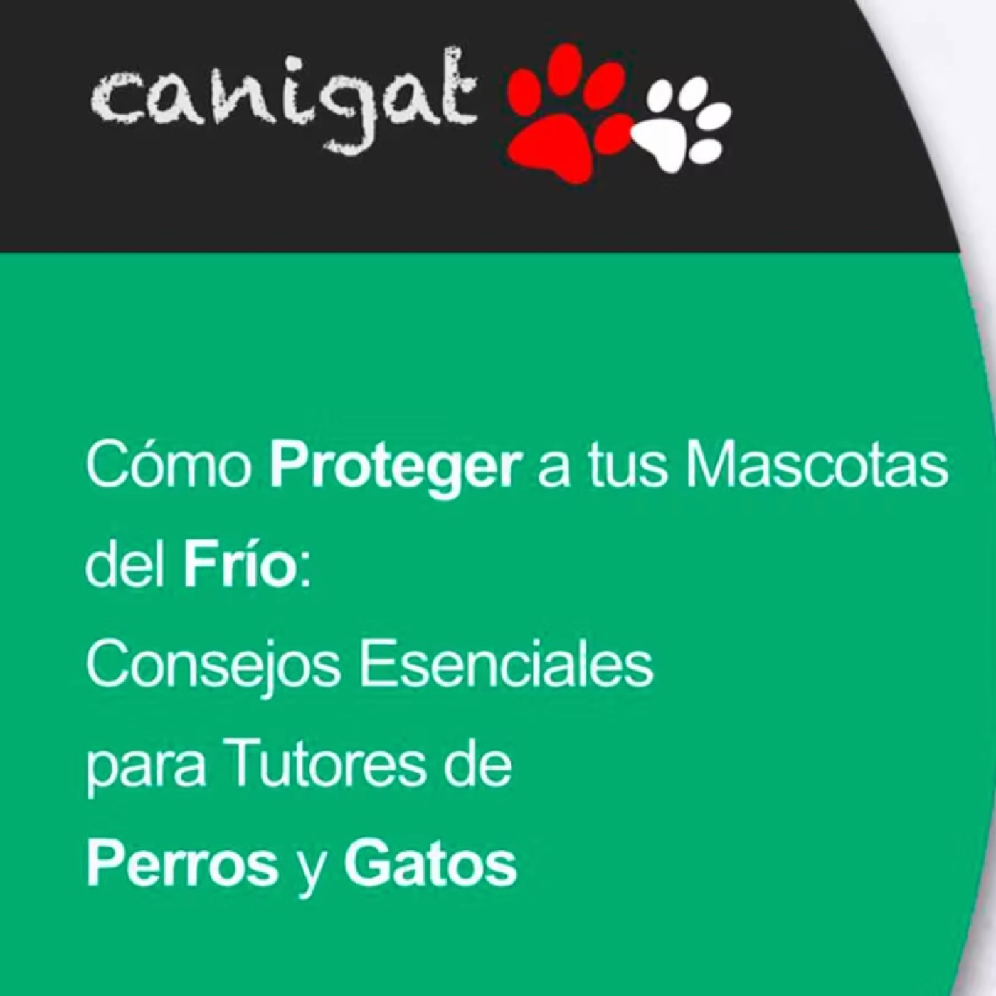 Consejos veterinarios de perros y gatos by canigat