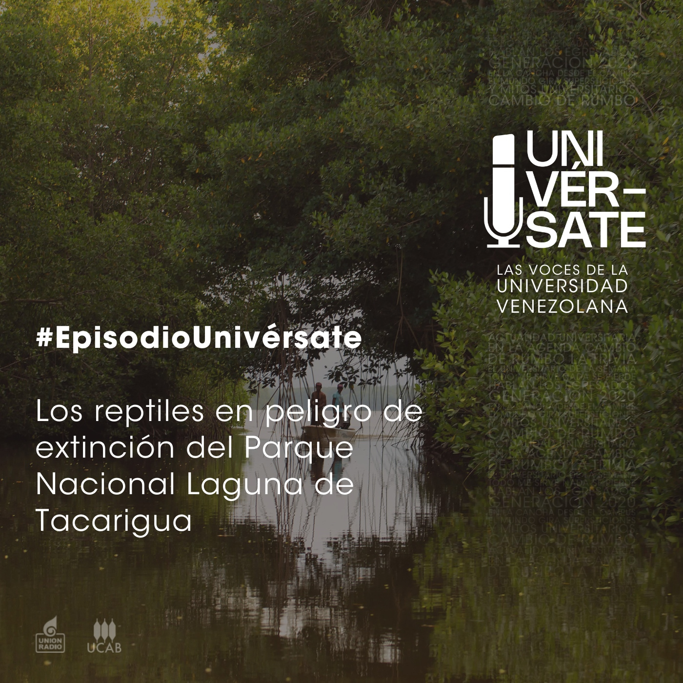 Producción Univérsate