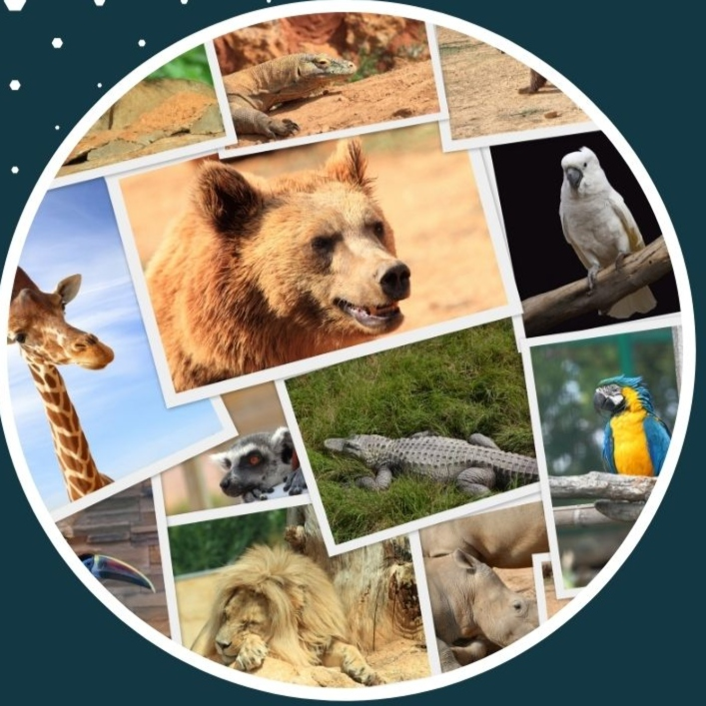 Radio Cole La Inmaculada