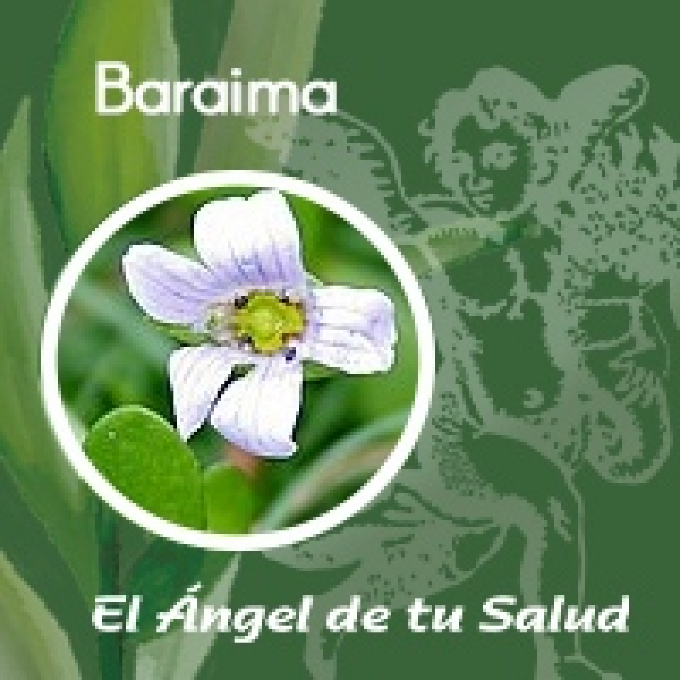 El Ángel de tu Salud - Baraima** episode artwork