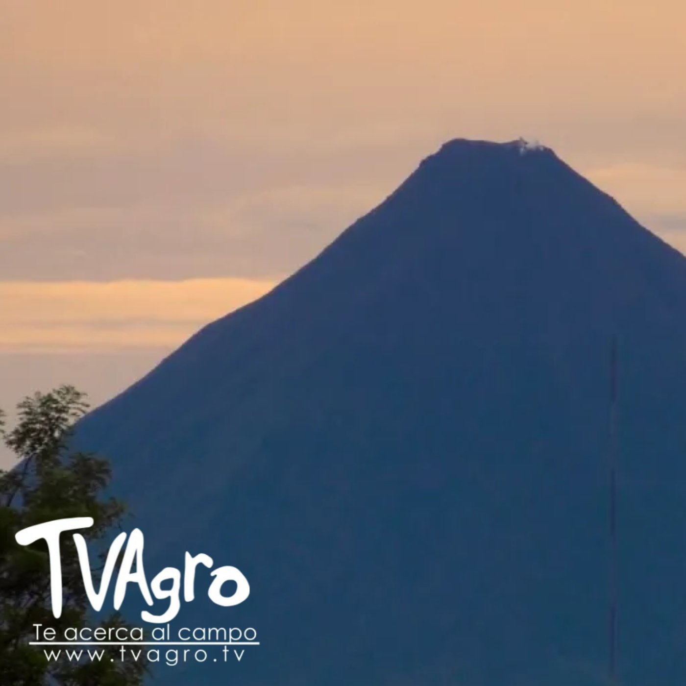 TV AGRO