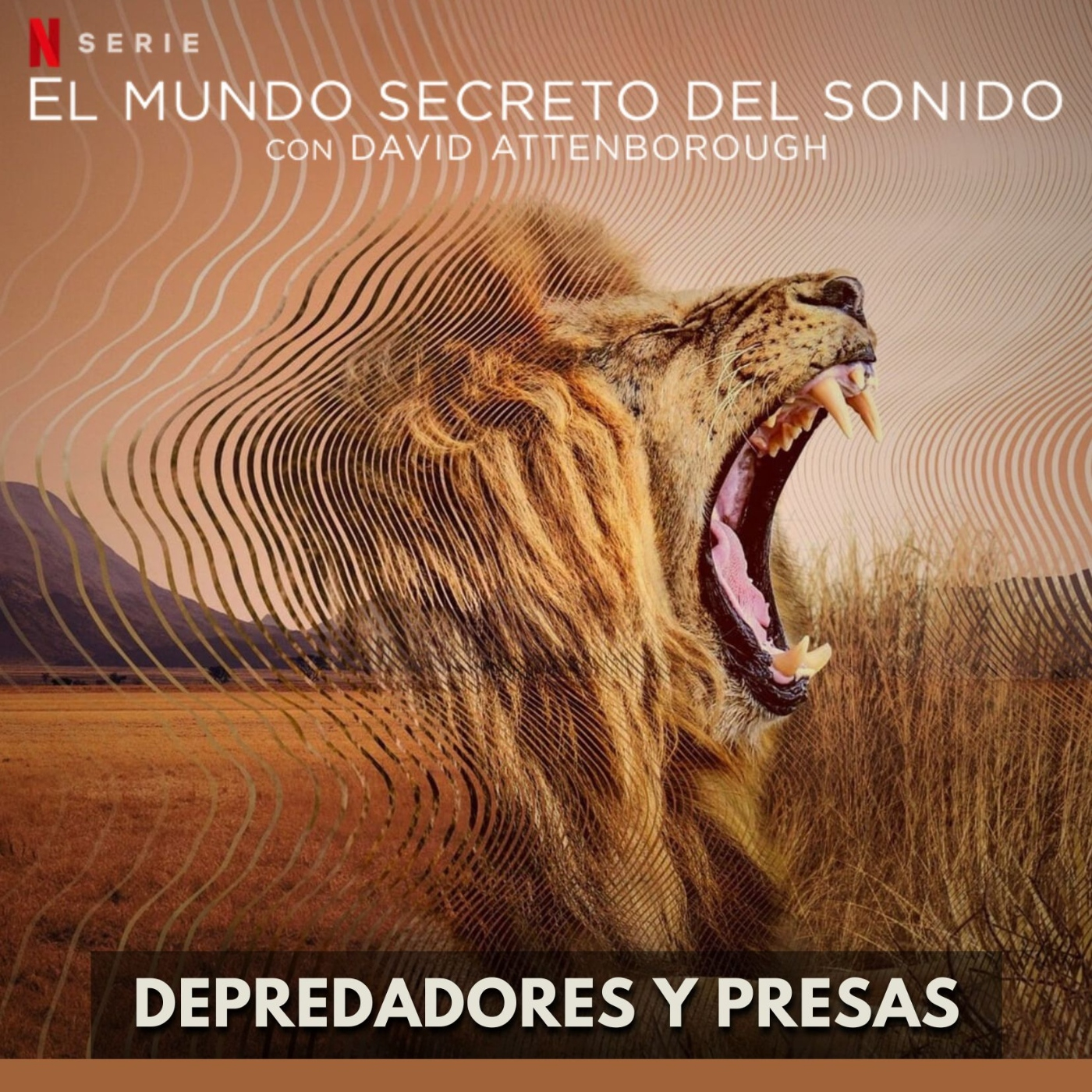 El Mundo Secreto del Sonido - Depredadores y Presas episode artwork