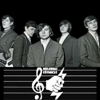embed image