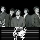 embed image
