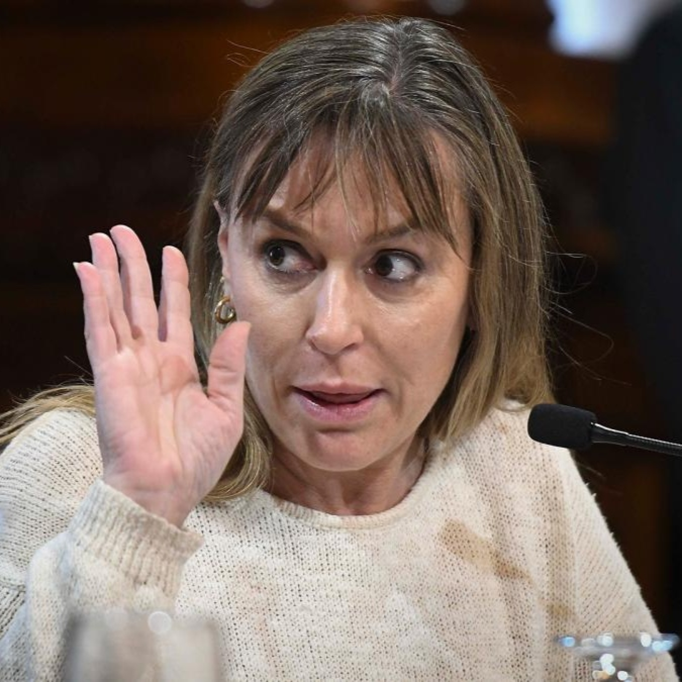 Voces del Día