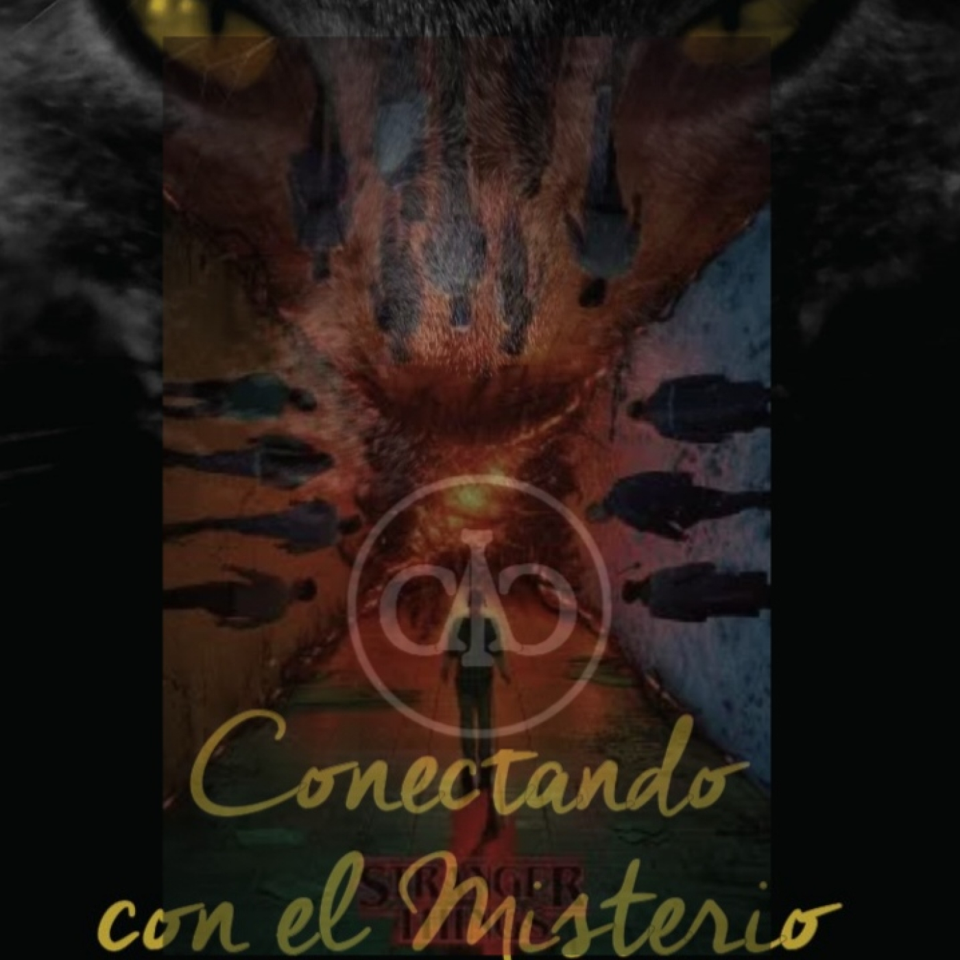 Conectando con el Misterio