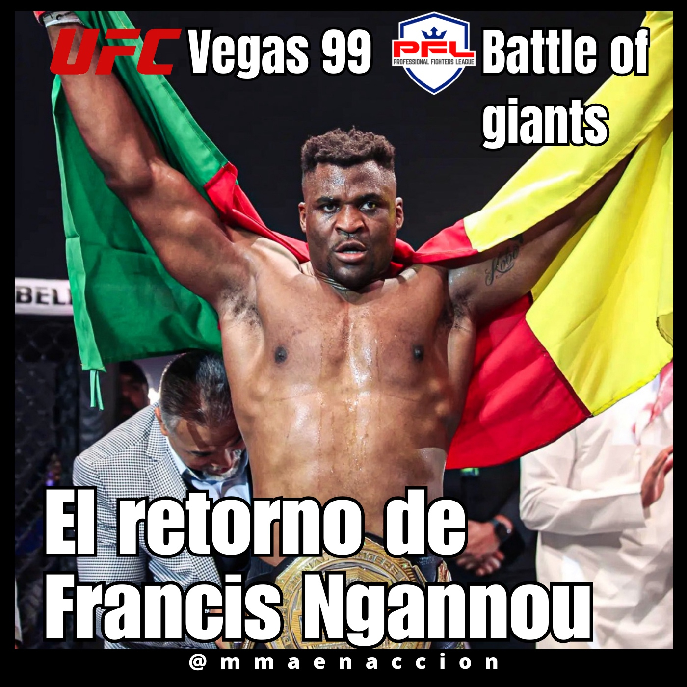 MMA en acción