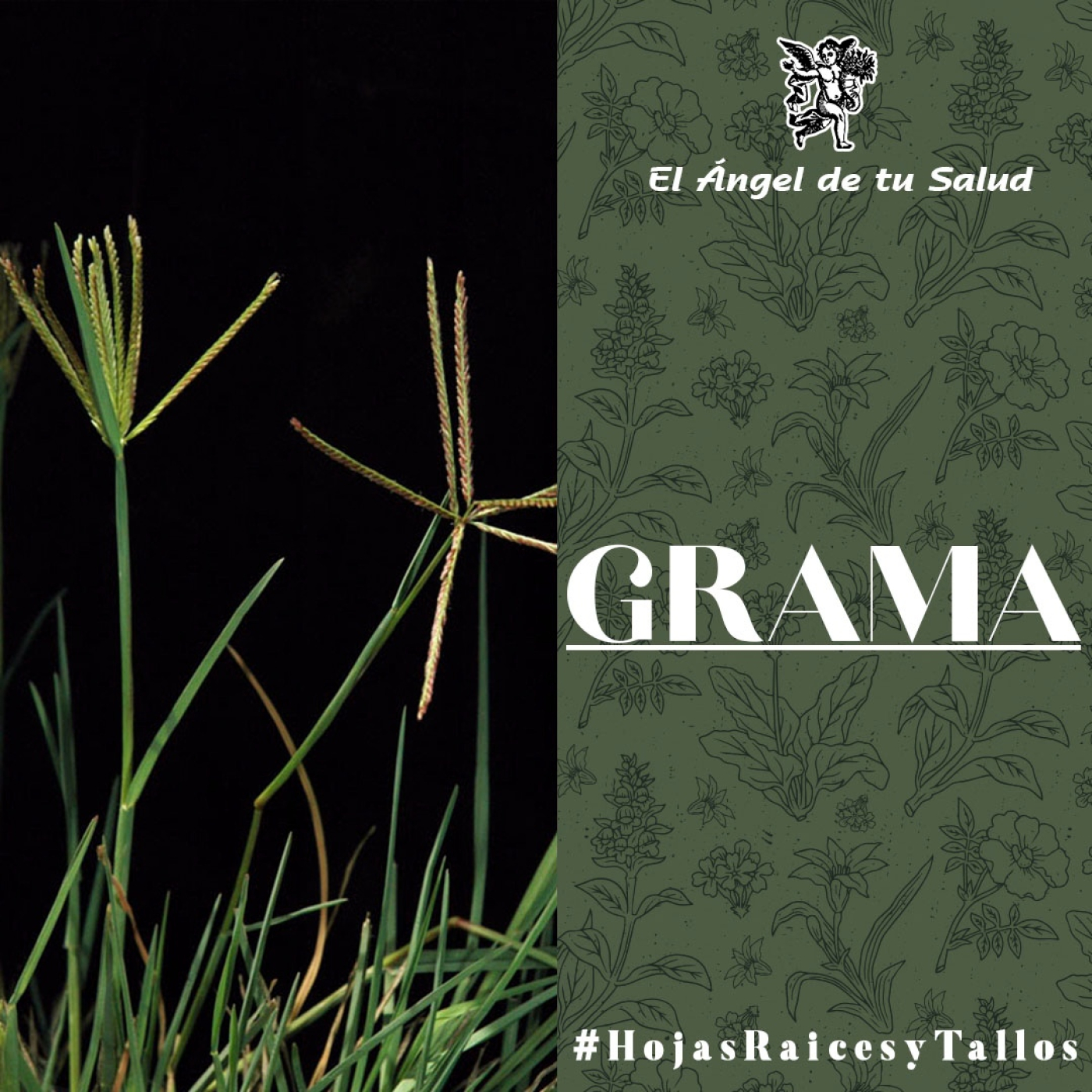 El Ángel de tu Salud - Grama** episode artwork