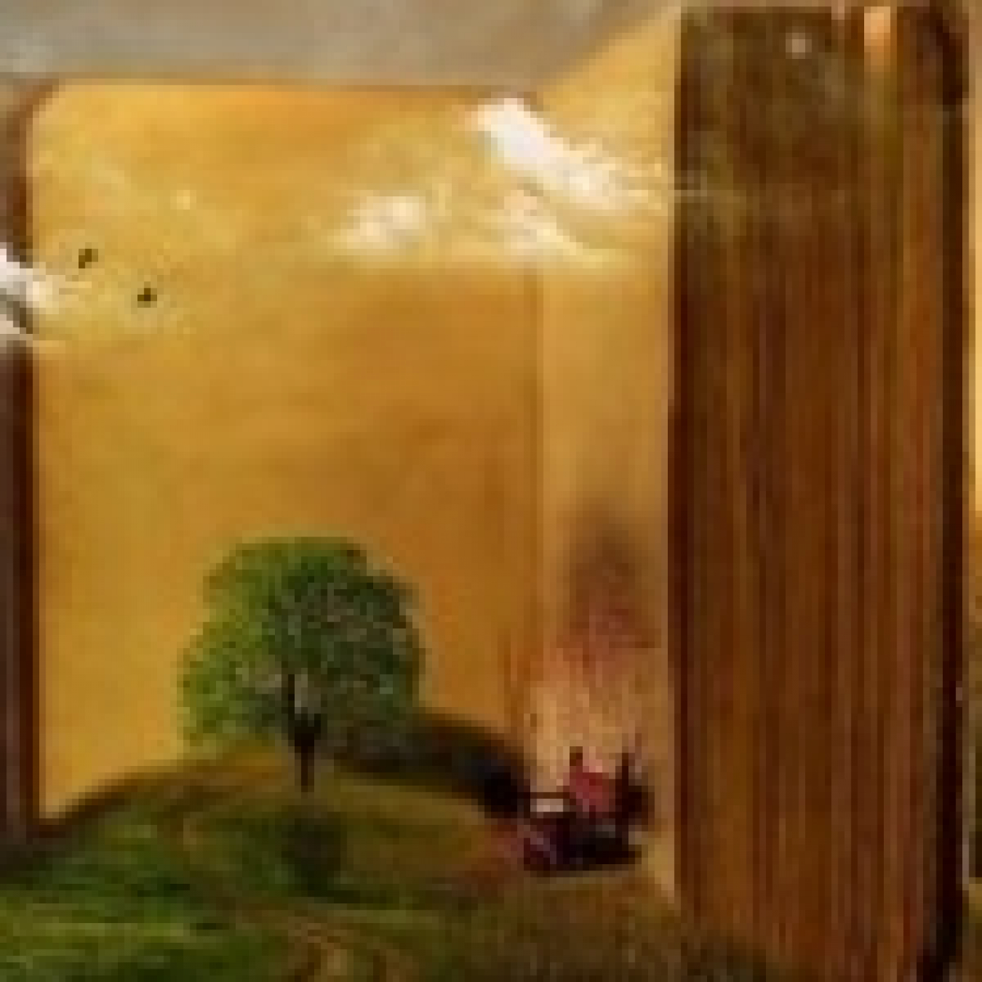 El libro de cada cual