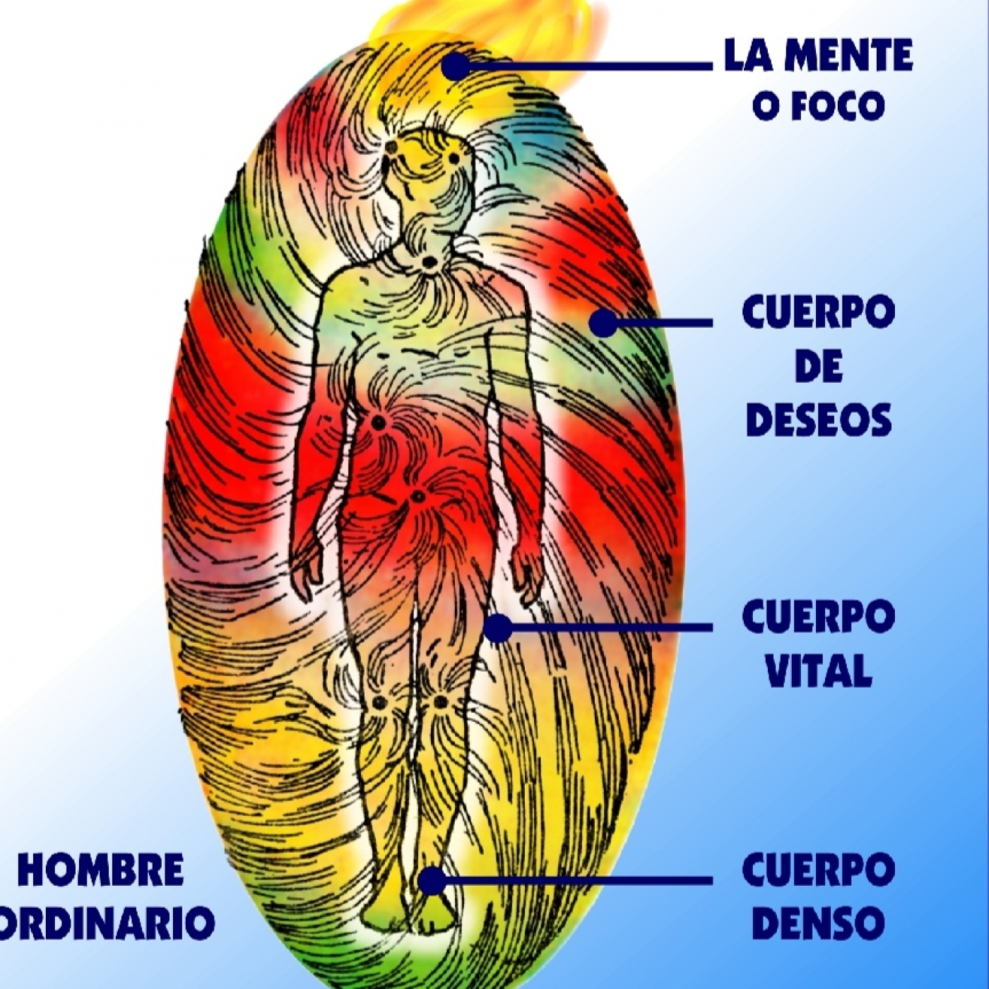 TODO DESARROLLO OCULTO COMIENZA CON EL CUERPO VITAL episode artwork