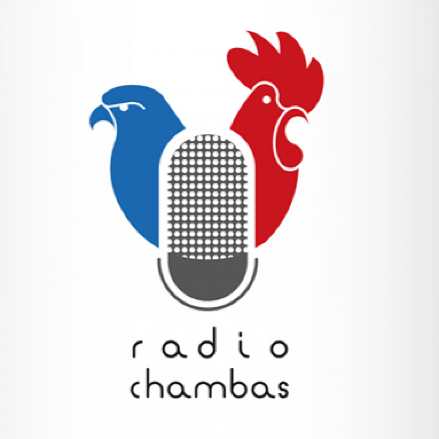 Programa “En la Esquina” dedicado a la atención primaria de Salud en Chambas episode artwork