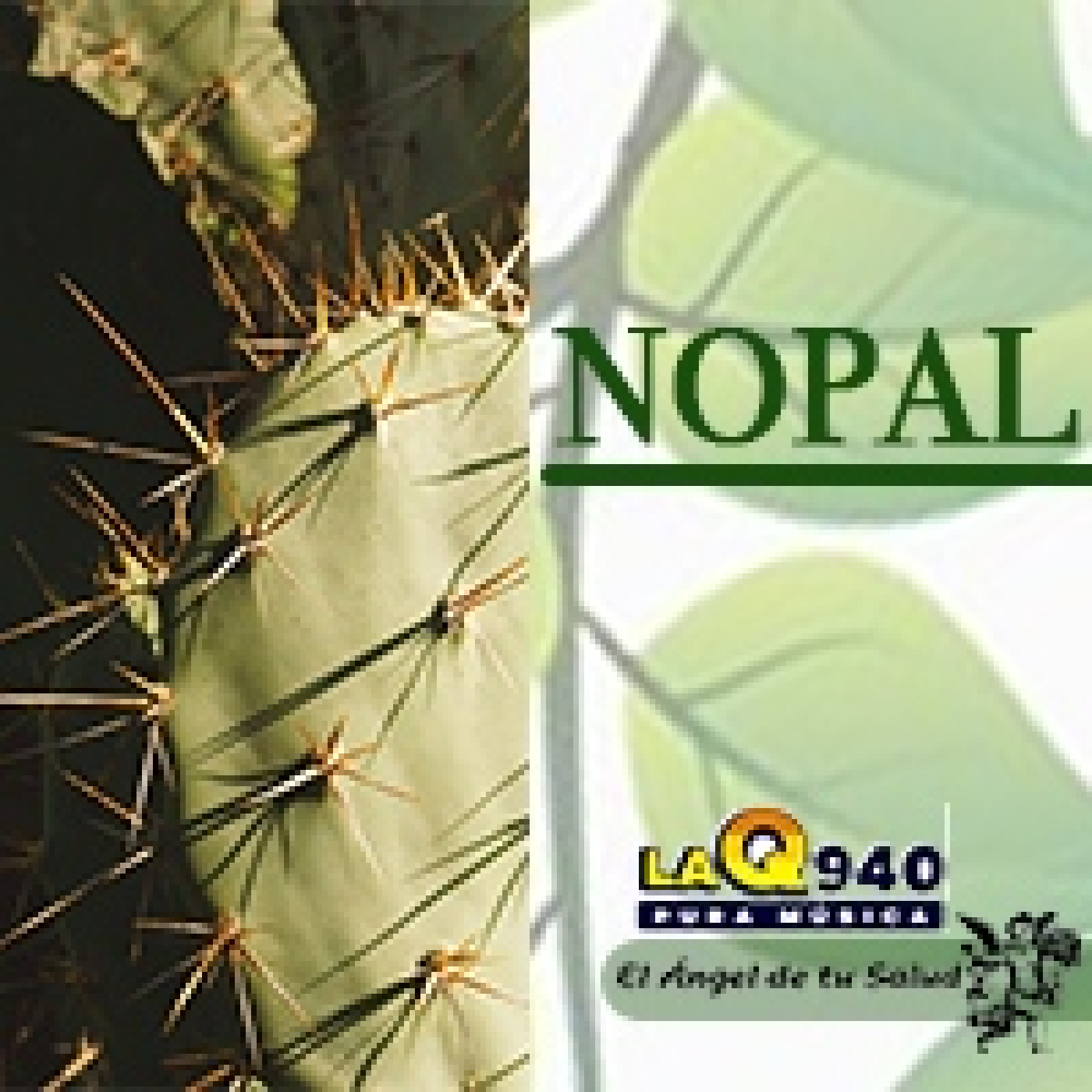 El Ángel de tu Salud - Nopal (Raíz)** episode artwork